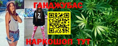 шишки Тверь