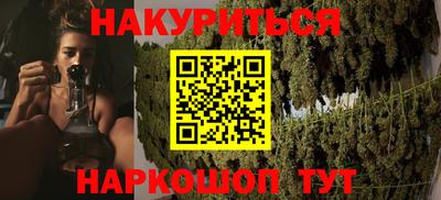 шишки Тверь