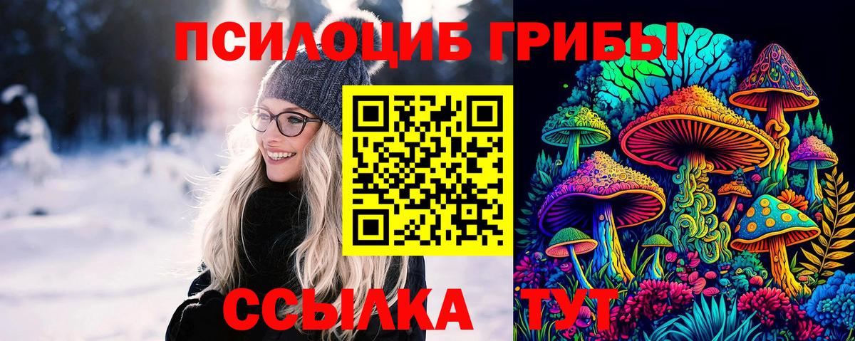 Галлюциногенные грибы Psilocybe Нарткала