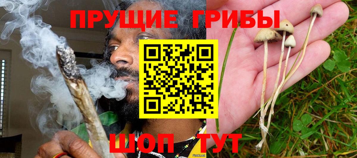 Нарткала  Галлюциногенные грибы мицелий  Псилоцибиновые грибы MAGIC MUSHROOMS  Вход с VPN 