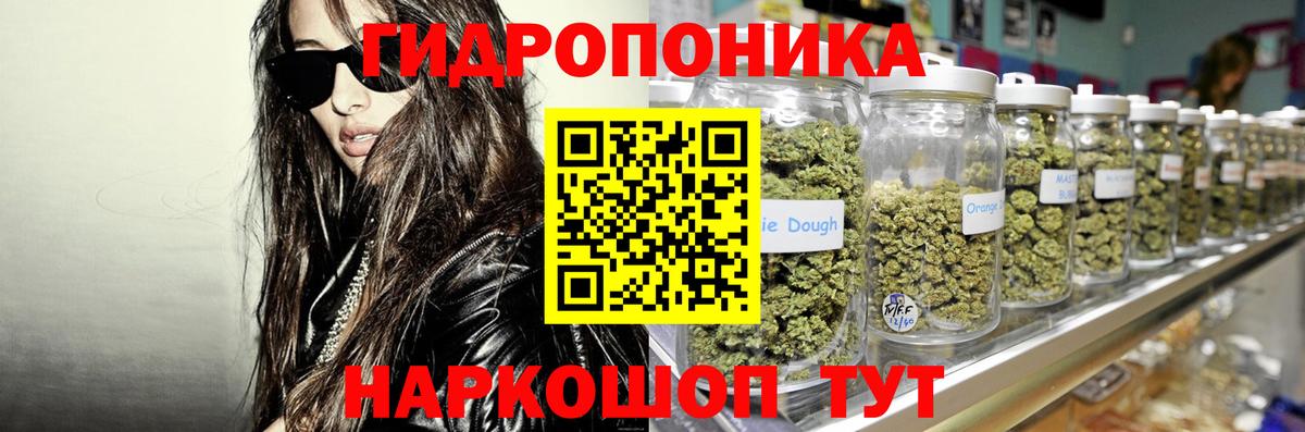 Галлюциногенные грибы Нарткала