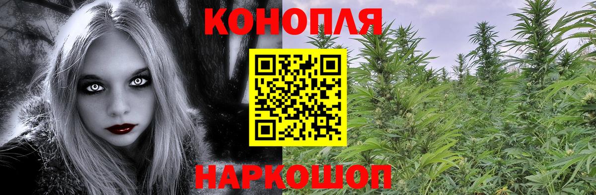 Конопля MAZAR Нарткала